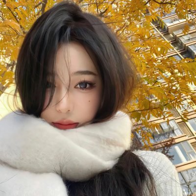 我的小狮王